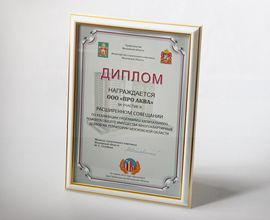 На выездном совещании в доме Правительства МО завод «ПРО АКВА» наградили дипломом для систем водоснабжения PRO AQUA